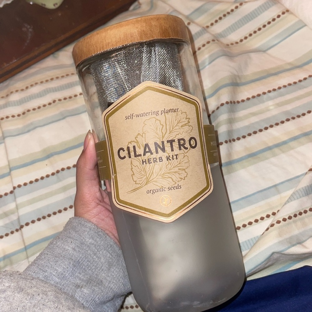 Cilantro herb kit